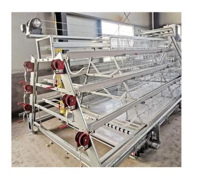 China Durable Automatic Layered Chicken Cages Chicken Cage Breeding Equipment Broiler Cage for sale