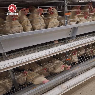 China Hot Sale Egg Chicken Layer Chicken Cage for sale