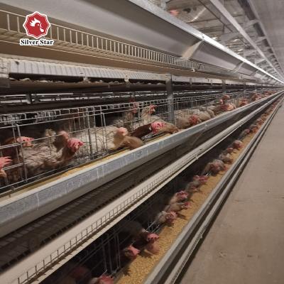 China Angola egg laying type A battery design chicken cages for chicken farm for sale