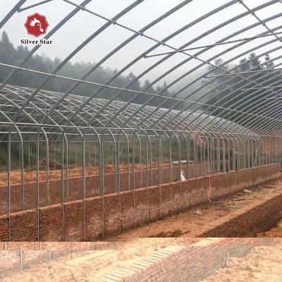 China Farms Schedule Poultry Farm Customizable Chicken Cage for sale