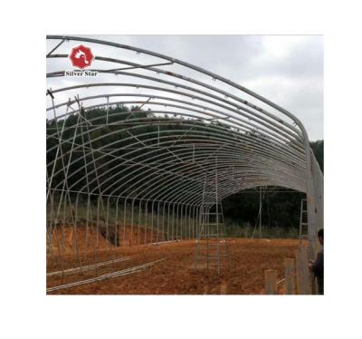 China From narrow poultry farm to full green or open house with curtain for sale