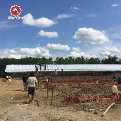 China Farms Professional Chicken Farm Equipment Steel Structure Chicken Shed Big Chicken House for sale