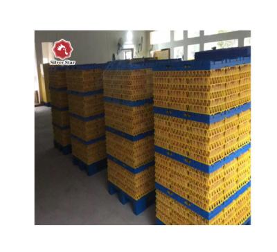 China Farms Battery Layer Cage for Nigerian/African Poultry Farm for sale