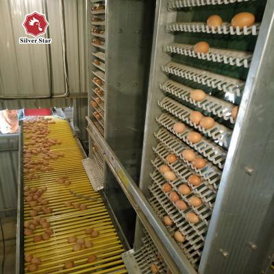 China Automatic Chicken Farm Chicken Feeding Cage With Automatic Feeding System for sale