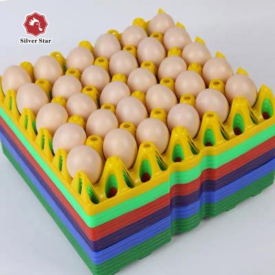 China Solid Box Wholesale Customized Reinforced Plastic Chicken Cage Transport Cage for sale