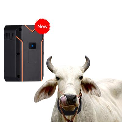 China Long Life Battery Operated Motorcycle Mini Cow Animal Cattle Gps Tracking Tracker Device for sale