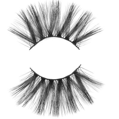 China Wholesale China Natural Soft Top Selling Best Selling Self Adhesive False Eyelashes for sale