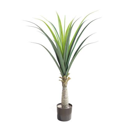 China Dragon artificial iron yucca plant plastic sisal plant for indoor decorative tropical plastic dragon iron for sale