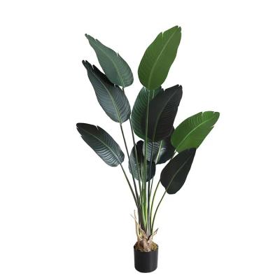 China Green plant artificial wholesale decoration simulation banana tree plant traveler indoor banana tree for sale