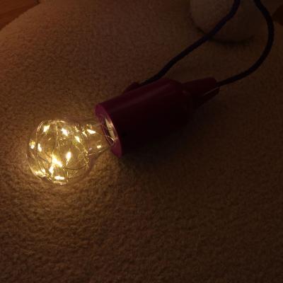 China ABS+PC Decoration Bulk Light Battery Operated Hanging Pull String Night LED Light Portable Bulb Light for sale