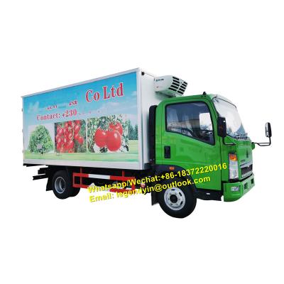 China For advanced frozen goods howo refrigerator truck -20 degree refrigerator body car 5 tons for vegetable meat transport for sale