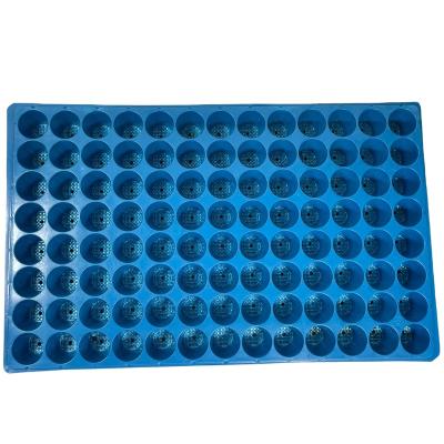 China Plastic Vegetable Sprouting Tray Hydroponic Seeding Tray Rectangle China Factory Wholesale 128 Cell Plant Breeding for sale