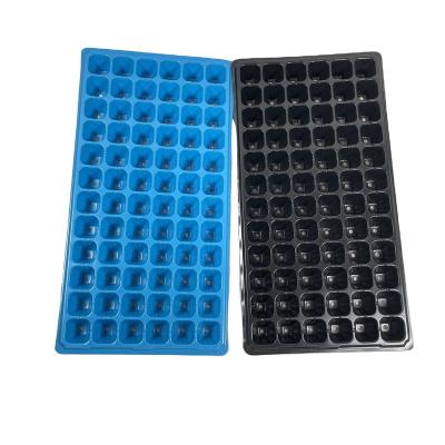 China 72 Cell Vegetable Planting Nursery Seed Trays for Garden and Agriculture for sale