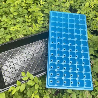 China Vegetable Tomato Folding Tree Plant Sugar Cane Seed Hydroponic Bamboo Trays for sale