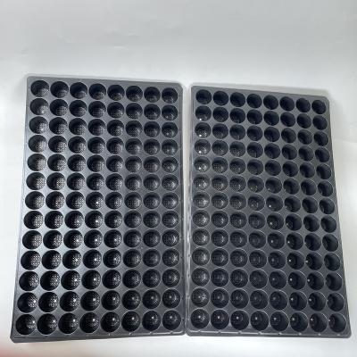 China Plastic Vegetable Injection Molding Process Rice Seeding Tray Plant Seedling Propagation Tray for sale