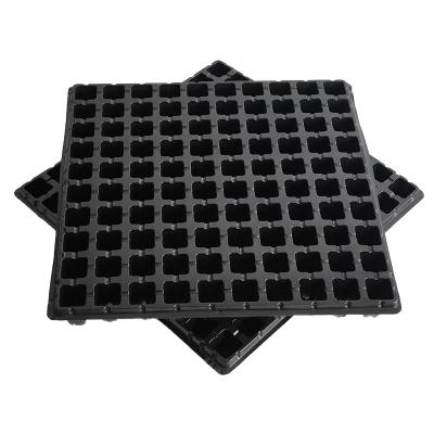 China Environmental Friendly Vegetables PET China Black Seed Planter Tray 50 Cell 72 105 128 200 for sale