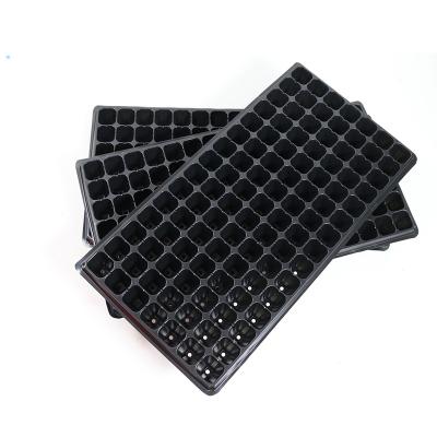 China Professional Vegetable Product 104 105 128 168 200 PS/PET 538 x 278mm Vegetable Seeding Tray for sale