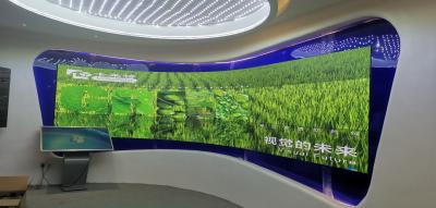 China Flexible Curved LED Display Screen for Shopping Mals, Bars, etc. zu verkaufen