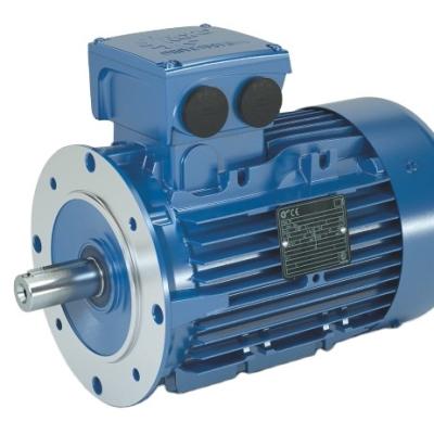 China IP66 excellent factory Nord 400V, 380V, 220V, 230V, 240V Ip66 high efficiency reversible universal asynchronous motors for sale