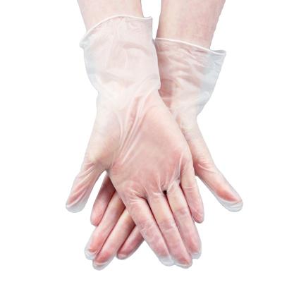 China M4.0 Smooth Disposable Vinyl Hand Gloves Powder Free Vinyl Gloves In Lab for sale