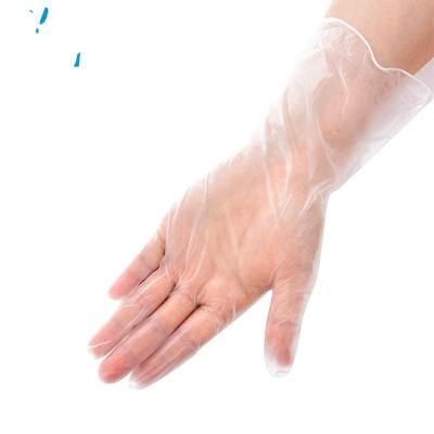 China Smooth Food Processing Restaurant Powder Free Disposable Clear Vinyl Gloves for sale