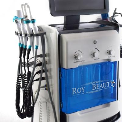 China Acne Treatment 12 in 1 Diamond Peeling Hydrofacials Water Jet Aqua Facial Hydra Dermabrasion Machine/hydra facials product for sale