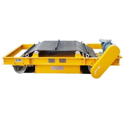 China Slaughtering Machine Rcyd Dry Magnetic Separator Self-cleaning Magnetic Separator for sale