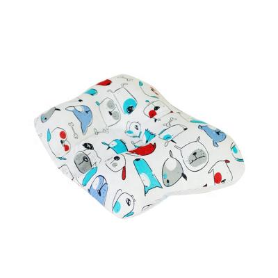 China China Factory Anti-static Baby Placing Pillow Baby Blanket And Pillow Set for sale