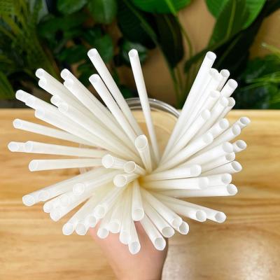 China LOKYO PLA White Biodegradable Disposable Straw Disposable Eco Friendly Compostable Degradable Drinkware Drinkware Straw for sale