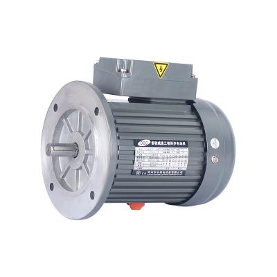 Cina 1-Phase 200W 1500W 220V 380V 415V 50 Vertical Gear Motor 60Hz AC Vertical 2hp Electric Deceleration Governor Gear Motor in vendita