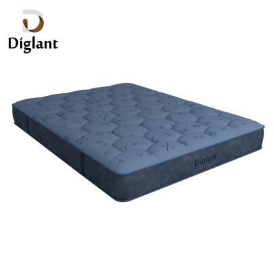 China Cool Diglant D205 Sleepwell Korea Cooling Gel Queen Size Foam Bed Base Price for sale