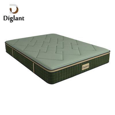 China Cooling Diglant D210 Europe Premium Cheap Price Roll Up Bamboo Pillow Queen King Size Foam Top Mattress for sale