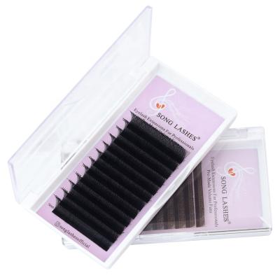 China High Quality Super Soft Eye Beauty Eyelash Extensions 3D Premade Fans W Shaped Lashes for sale