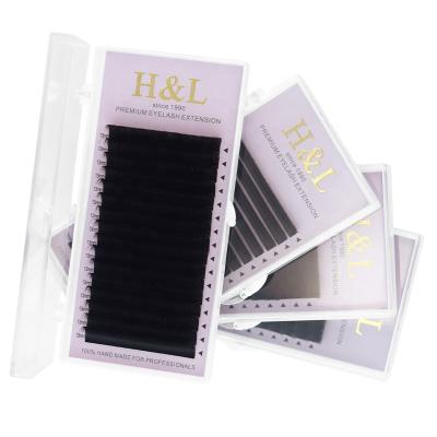 China 0.07mm Customized High Quality Super Soft Natural PBT 0.05 Quick Easy Fan Flower Eyelash Extension Korean Blooming Licks for sale