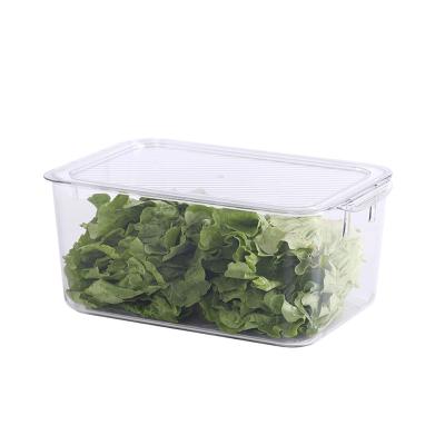 China Sustainable Vegetable Fridge Organizer Storage Boxes Fruit Storage Box For Fridge for sale