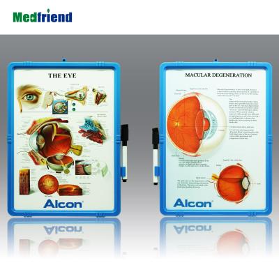 China PVC +ABS Desktop Medical Erase Anatomical Easel Chart Board Subject: The Eye, Many Designs Available for sale