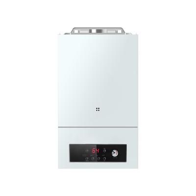 China Hotel 110v 220v Stainless Steel Instant Shower Two Function Gas Boiler Multiple Wall Heater Gas Boiler Water Heater For Household for sale