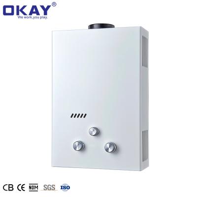 China Hotel Manufacturer Tankless Instant Gas 12V DC Heat Pump Boiler Water Shower Heater Tap Parts 12v DC LPG CAMPING Pump for sale