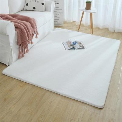 China 2022 Washable Super Soft Faux Sheepskin Thick Plush Custom Made Shock Absorption Plant Rugs And Blankets For Living Room for sale