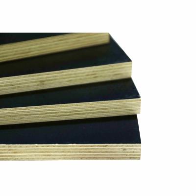 China Cheap Furniture Decoration Greenland 10mm Plywood Phenolic Formwork For Sale for sale