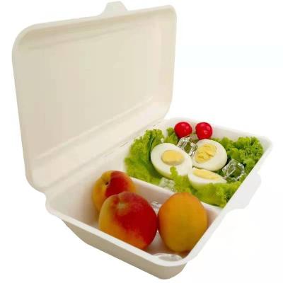 China Sustainable Customizable Biodegradable Fast Food Container Bagasse Packing Box With Lid for sale