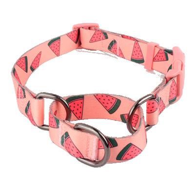 China DETACHED Design Orange Pink Martingale Watermelon Puppy Safety Collar Medium Custom for sale