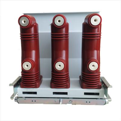 China Quality Assurance AIS Insulated Mechanism Indoor Vacuum 24kv Circuit Breaker CAVS1 for sale