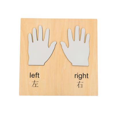 China Hot selling plywood materials montessori infant &Toddler hands (right and left hand) L230 for sale