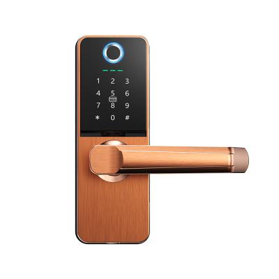 China China Manufacturer New Digital Fingerprint Touch Door Lock Zinc Alloy Fingerprint For Door for sale