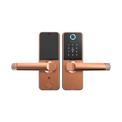 China Wholesales Zinc Alloy IC Card Hotel Door Lock Digital Door Lock App Smart Fingerprint Lock for sale