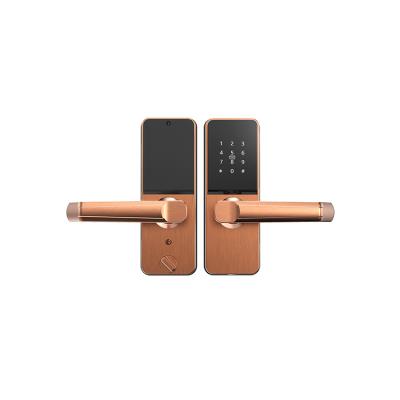 China Zinc Alloy Modern Security Cheap Waterproof Smart Digital Fingerprint Door Lock Door Lock Automobile for sale