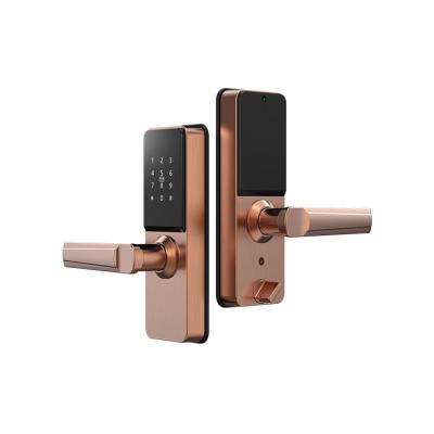 China 2021 Zinc Alloy Newest Waterproof Electric Door Lock Wifi Fingerprint Electric Smart Door Lock For Home for sale