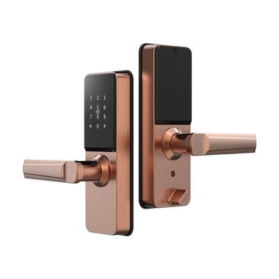 China OEM Zinc Alloy Waterproof Intelligent Keyless Smart Lock Door Lock High Security Enjia N1 Sliding Door for sale