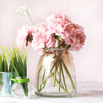 China New Classic / Postmodern Nature Home Colors Planting Indoors With Elegant Transparent Elegant Glass Vases for sale